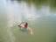 2008-07-19_15-00-27.jpg