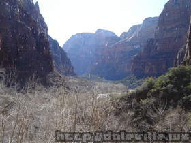 2009-03-14_15-12-28.jpg