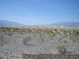 2009-03-18_15-34-14.jpg