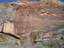 2009-03-14_15-07-31.jpg