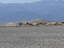2009-03-18_15-30-11.jpg