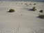 2009-03-18_16-09-13.jpg