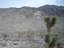 2009-03-19_13-33-46.jpg