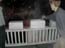 DSCN0109.jpg