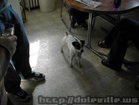DSCN0258.jpg