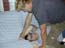 DSCN0904.jpg