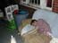 DSCN0913.jpg