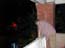 DSCN0917.jpg