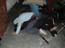 DSCN0860.jpg