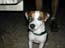 DSCN0373.jpg