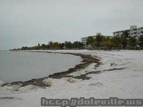 DSCN0195.jpg