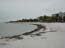 DSCN0195.jpg