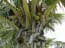 DSCN0196.jpg