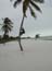 DSCN0199.jpg