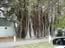 DSCN0205.jpg