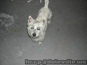 DSCN0729.jpg