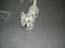 DSCN0729.jpg