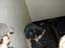 DSCN0768.jpg