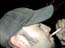 DSCN0468.jpg